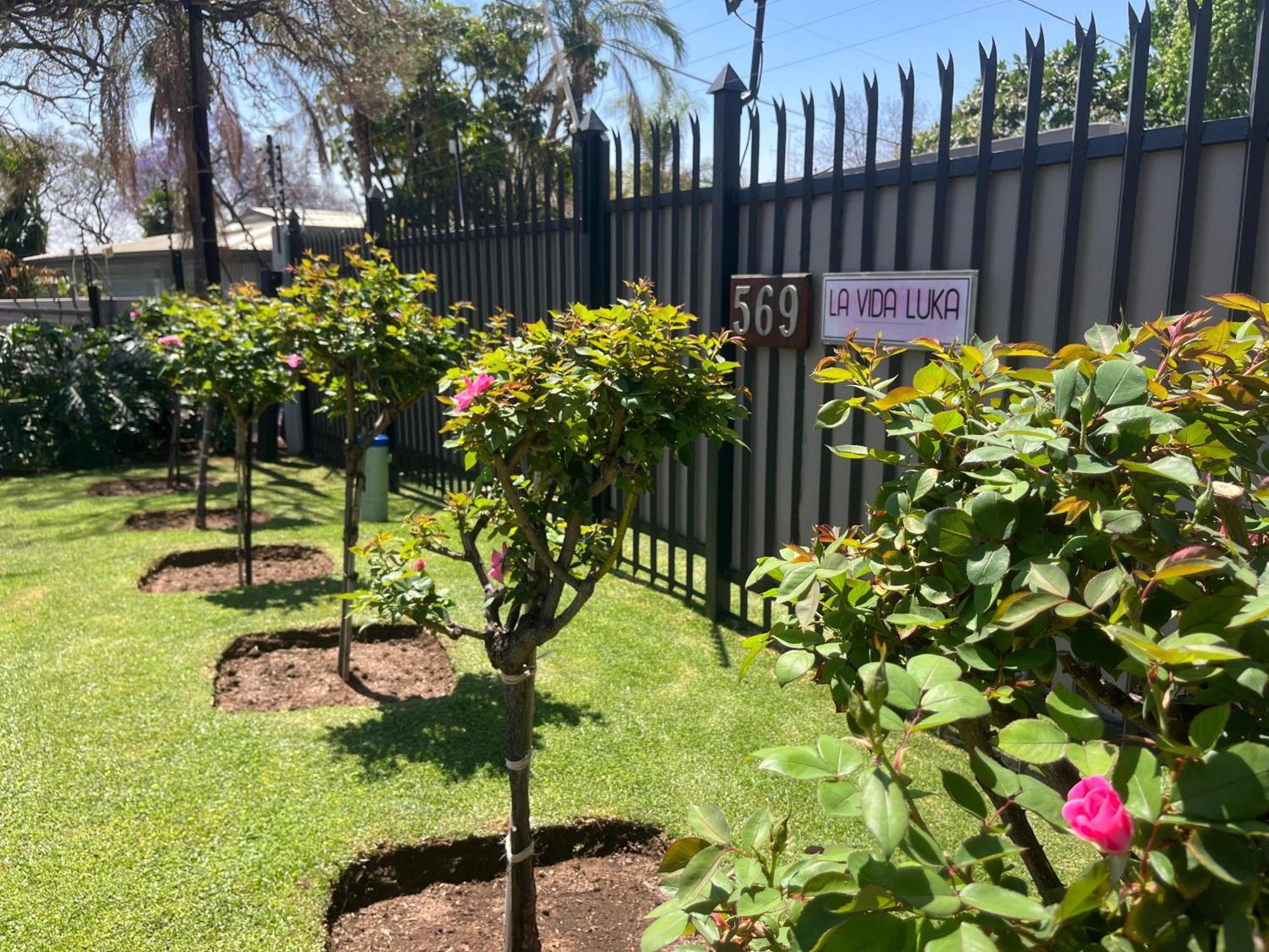 La Vida Luka - Luxury Guesthouse Pretoria-Noord Dış mekan fotoğraf