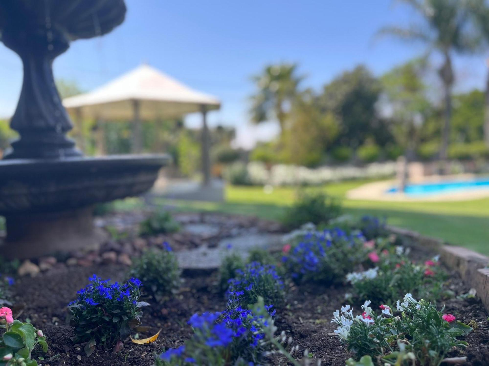 La Vida Luka - Luxury Guesthouse Pretoria-Noord Dış mekan fotoğraf